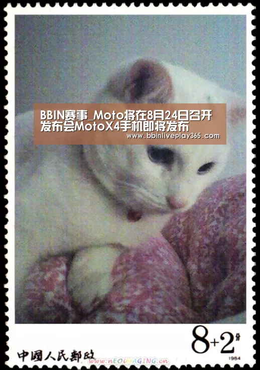 BBIN赛事_Moto将在8月24日召开发布会MotoX4手机即将发布(图2) BBIN赛事